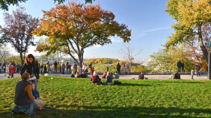 / Starokyivska Hill Renovation