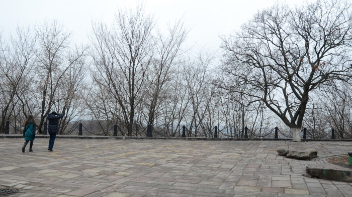 Панорамні види поросли самосівом / Відновлення Старокиївської гори