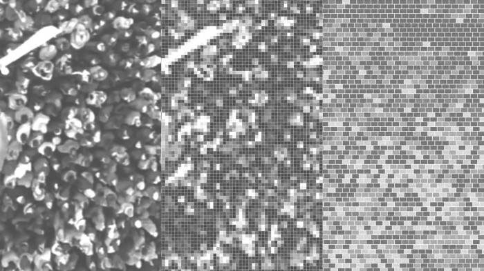 «Територія Майдану» / 'Територія Майдану' — площа перед будівлею Полтавської ОДА