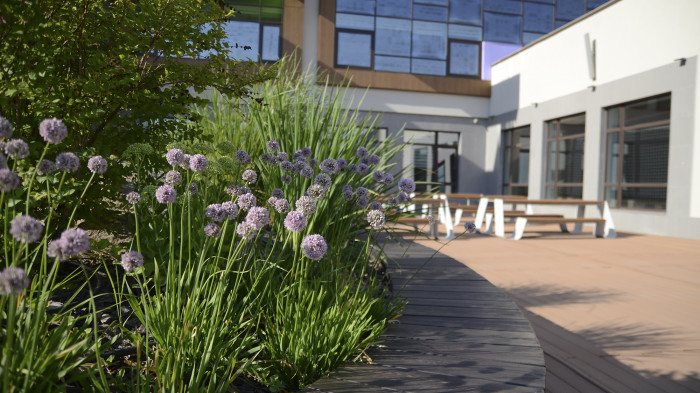 / Novopecherska School