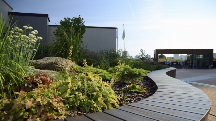 / Novopecherska School