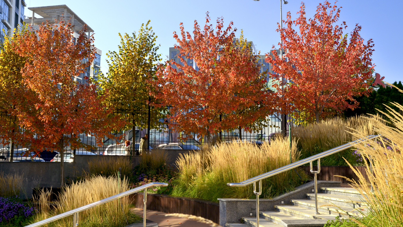 / Novopecherska School