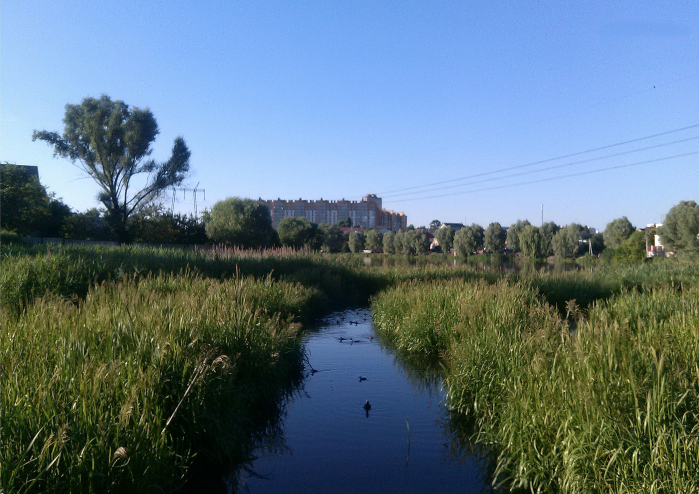 Зелено-блакитний коридор Зелено-блакитний коридор / Стратегія розвитку Соборної вулиці