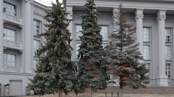 / Starokyivska Hill Renovation