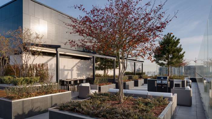 / Tetris Hall – Rooftop Garden