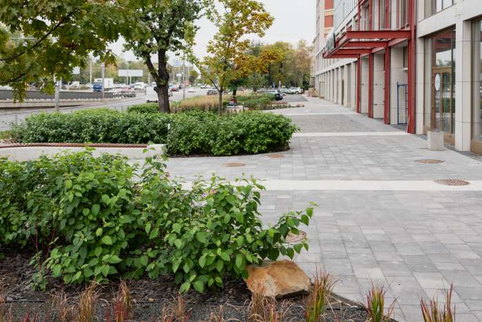 / Територія ЖК 'San Francisco' - фото №6 / Територія ЖК 'San Francisco'