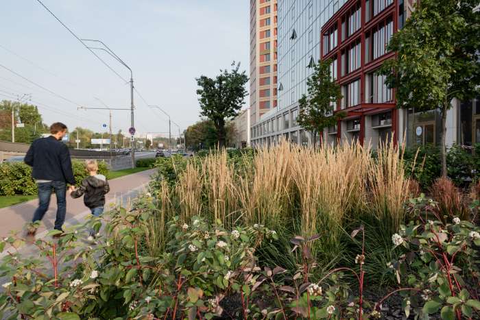 / Територія ЖК 'San Francisco' - фото №5 / Територія ЖК 'San Francisco'