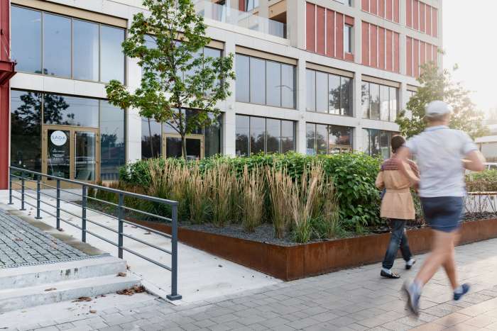 / Територія ЖК 'San Francisco' - фото №12 / Територія ЖК 'San Francisco'