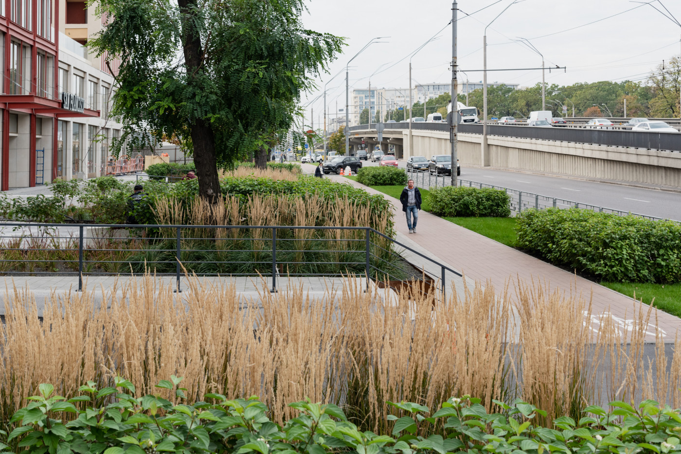 / Територія ЖК 'San Francisco' / Територія ЖК 'San Francisco'