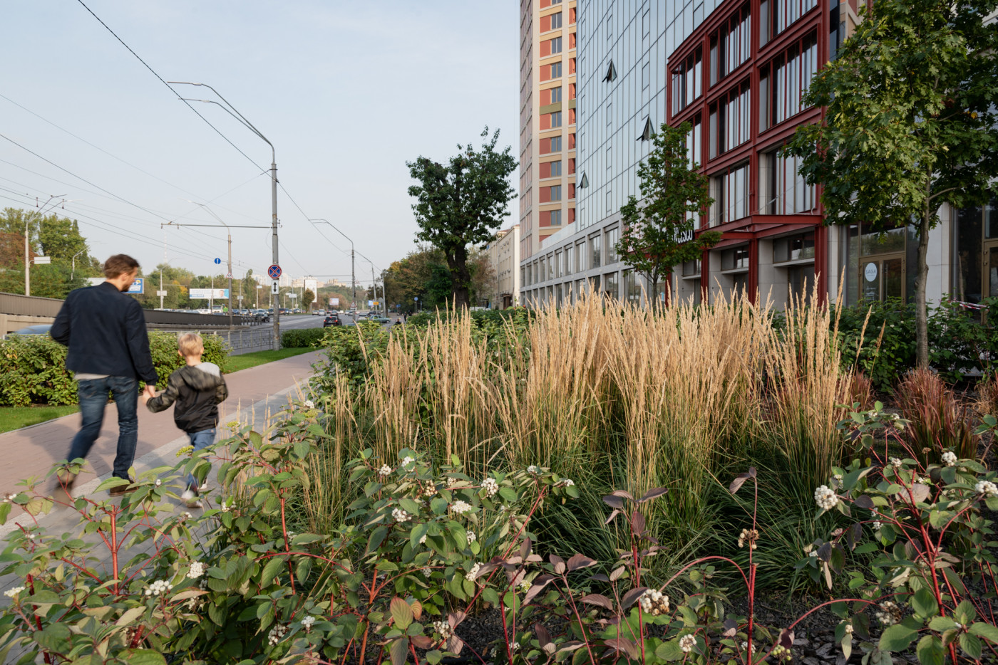 / Територія ЖК 'San Francisco' / Територія ЖК 'San Francisco'