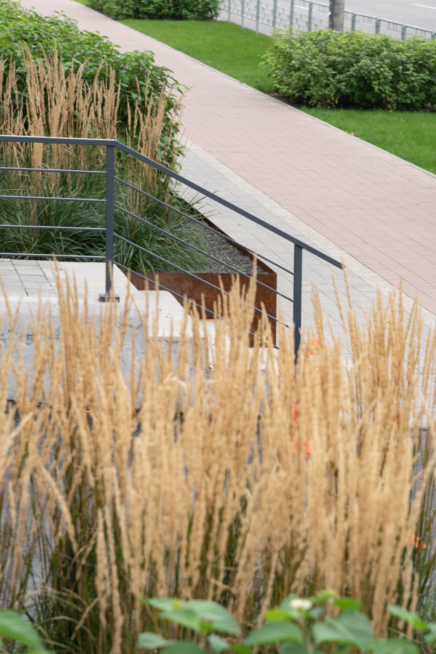 / Територія ЖК 'San Francisco' / Територія ЖК 'San Francisco'