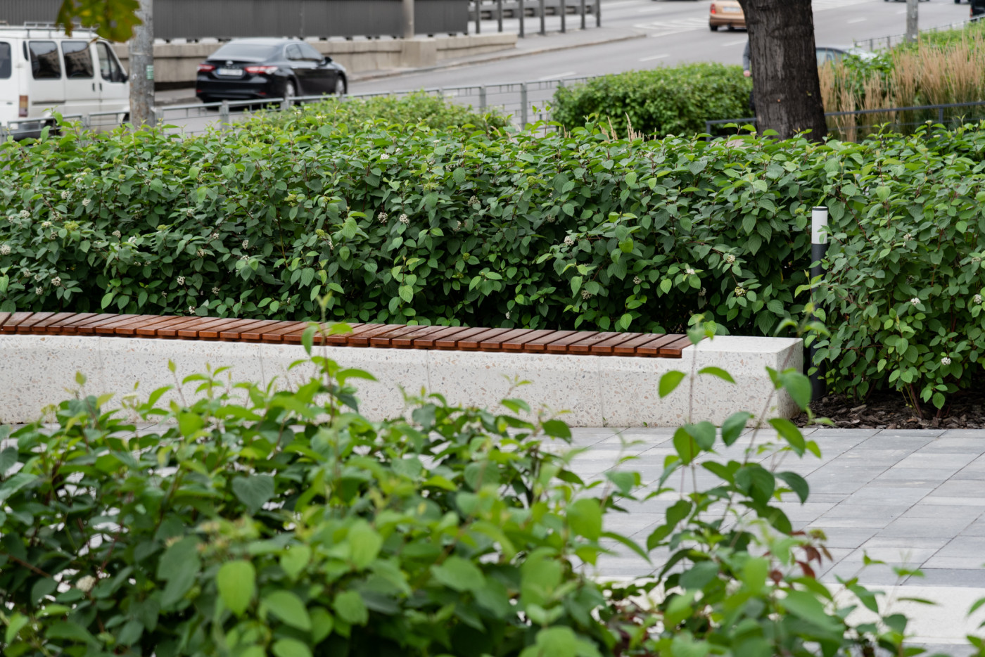 / Територія ЖК 'San Francisco' / Територія ЖК 'San Francisco'