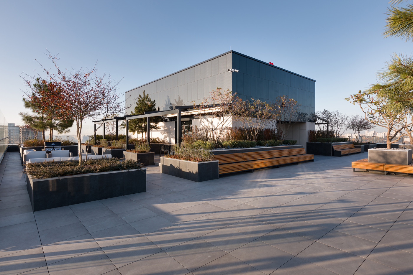 / Tetris Hall – Rooftop Garden / Tetris Hall – Rooftop Garden