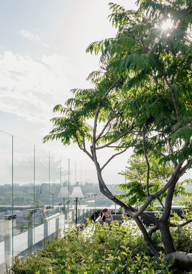 / Tetris Hall – Rooftop Garden / Tetris Hall – Rooftop Garden