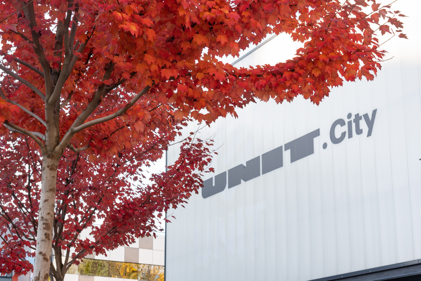 / Інноваційний парк 'UNIT.City' / Інноваційний парк 'UNIT.City'