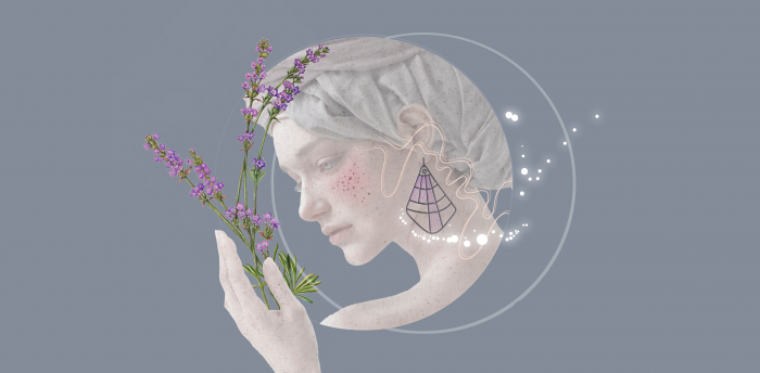 / Poradiv Lavender Park