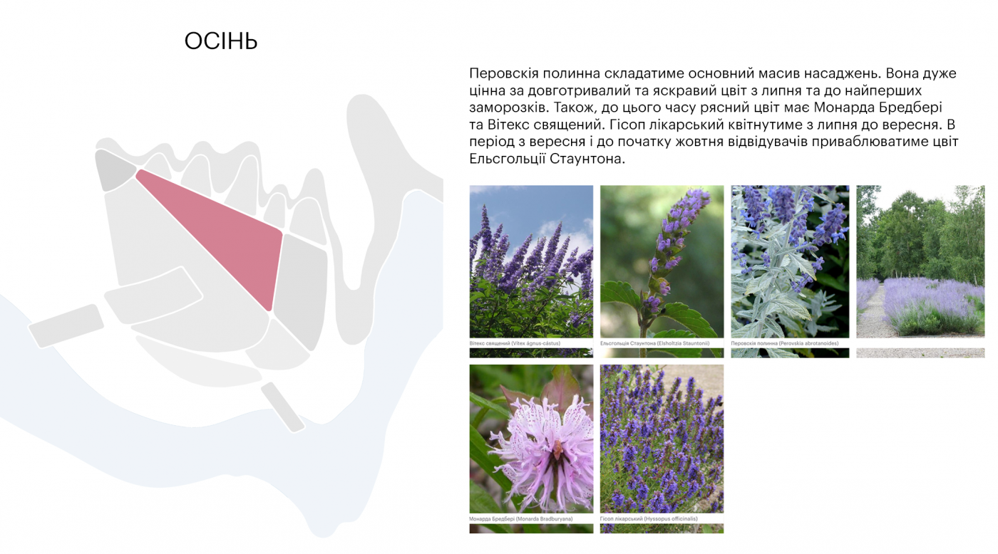 / Лавандовий парк «Порадів» / Лавандовий парк «Порадів»