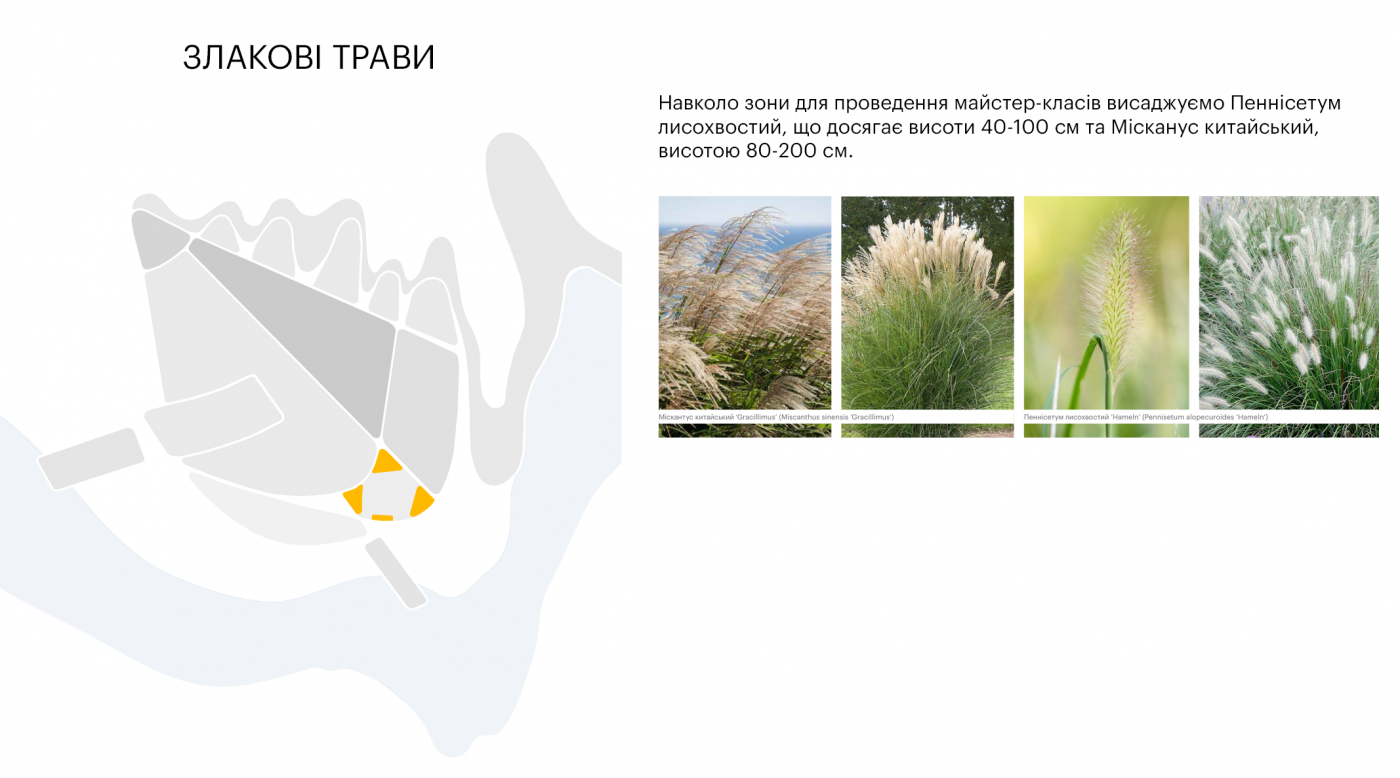 / Лавандовий парк «Порадів» / Лавандовий парк «Порадів»
