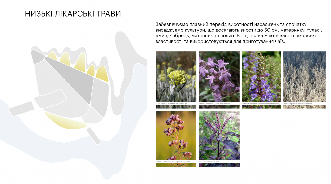 / Лавандовий парк «Порадів» / Лавандовий парк «Порадів»