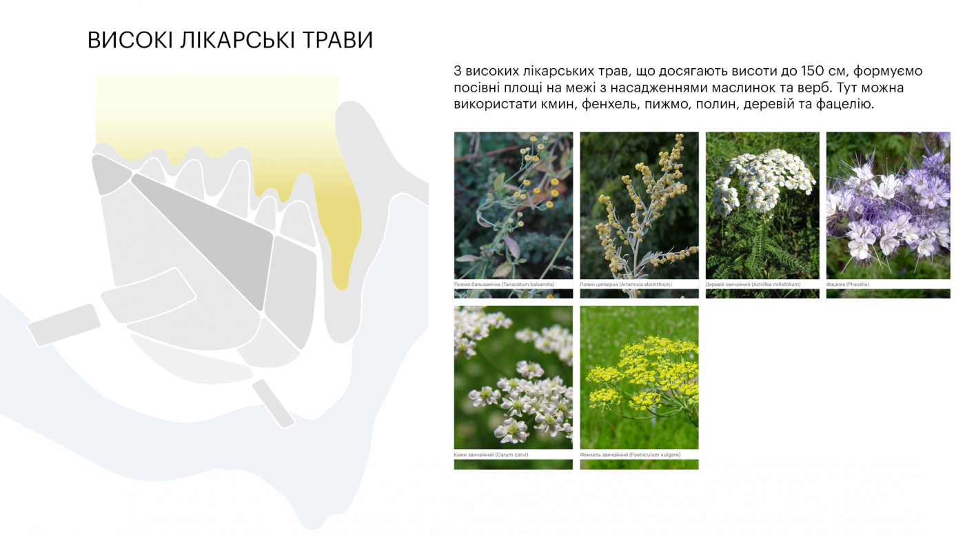 / Лавандовий парк «Порадів» / Лавандовий парк «Порадів»