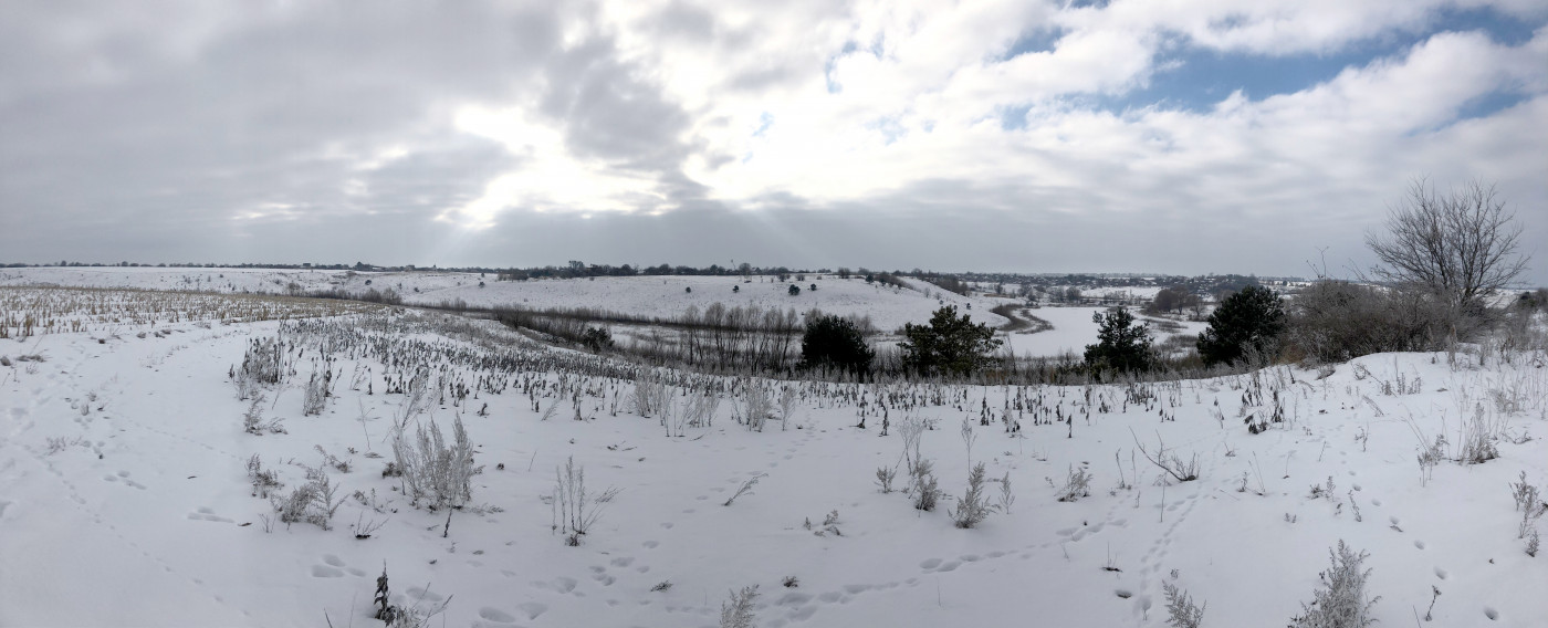 Мальовничий природний ландшафт ділянки 2019р. Мальовничий природний ландшафт ділянки 2019р. / Лавандовий парк «Порадів»