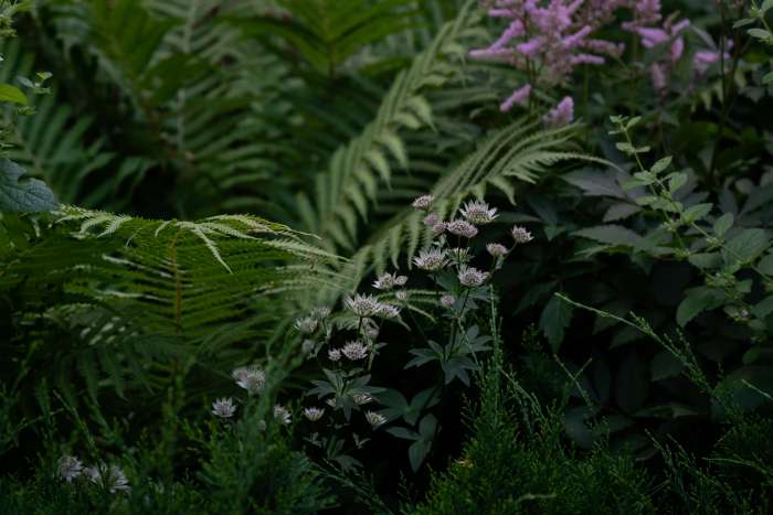 / UNIT.City Event Plaza