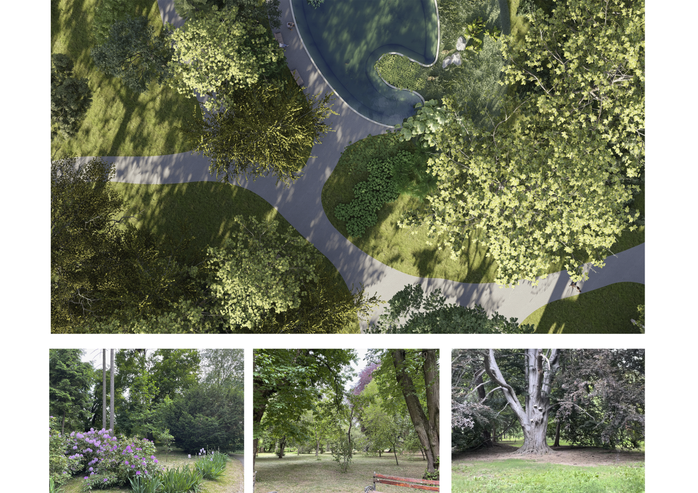 / Metropolitans’ Residence of Bukovyna and Dalmatia / Metropolitans’ Residence of Bukovyna and Dalmatia