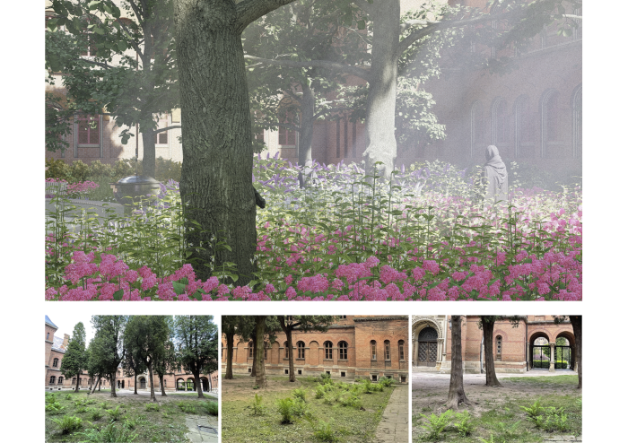 / Metropolitans’ Residence of Bukovyna and Dalmatia - photo №3 / Metropolitans’ Residence of Bukovyna and Dalmatia