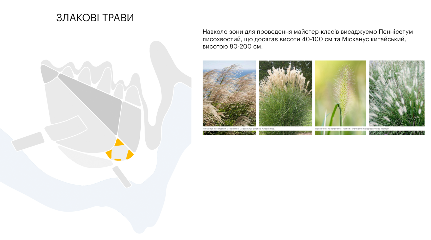 / Poradiv Lavender Park / Poradiv Lavender Park