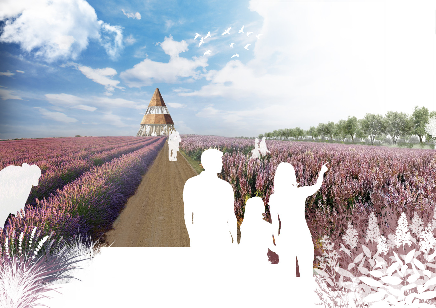 / Poradiv Lavender Park / Poradiv Lavender Park