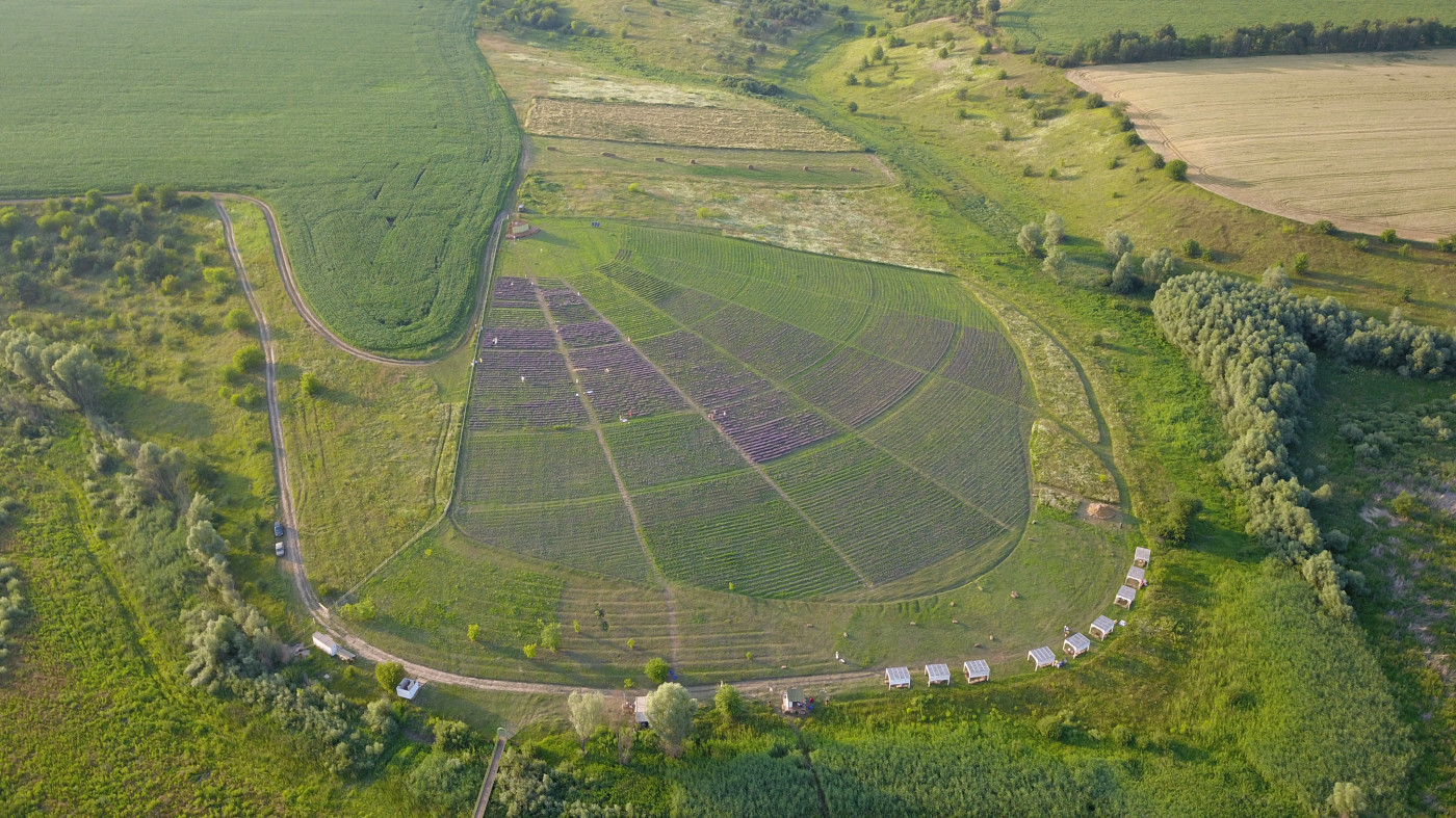 / Poradiv Lavender Park / Poradiv Lavender Park