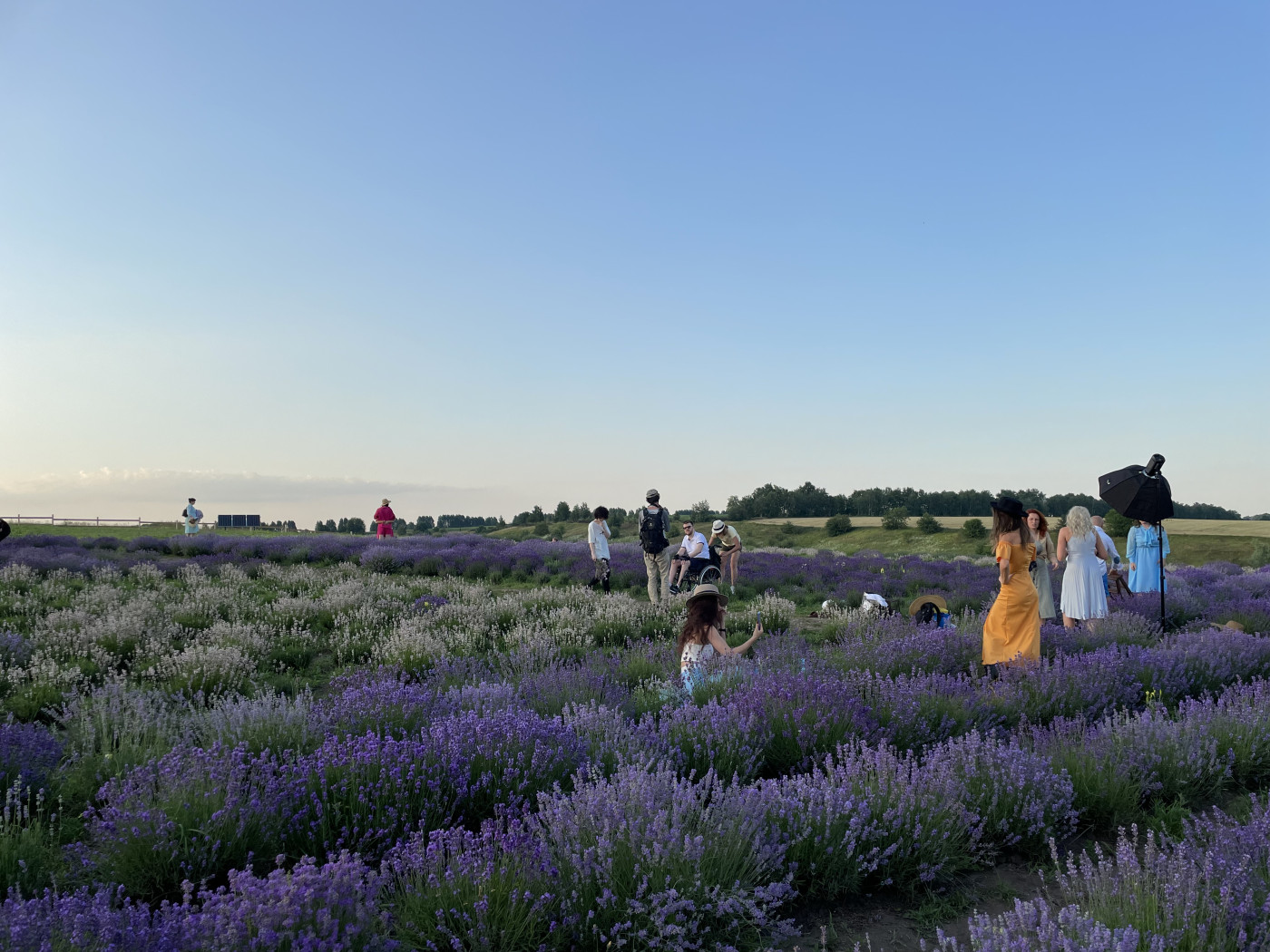/ Poradiv Lavender Park / Poradiv Lavender Park