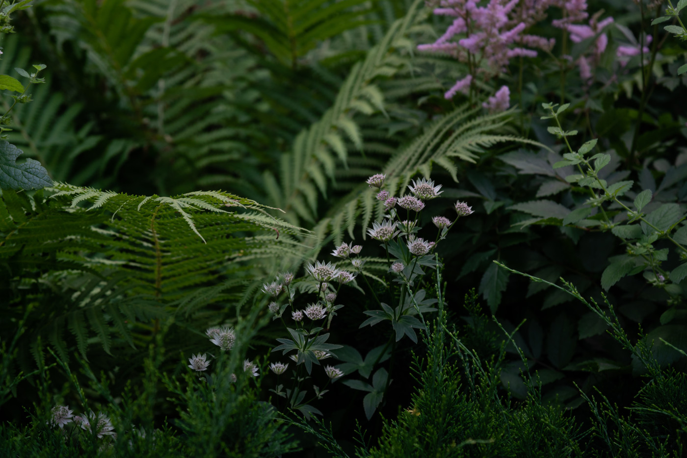 / UNIT.City Event Plaza / UNIT.City Event Plaza